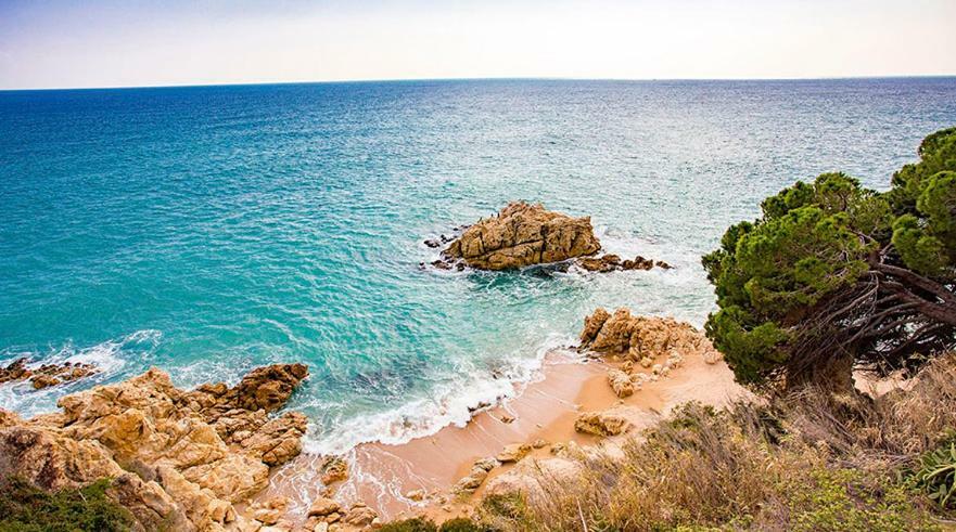Can Plana De Baix Sant Pol De Mar Dış mekan fotoğraf